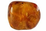 Several Fossil Aphids (Sternorrhyncha) In Baltic Amber #87199-6
